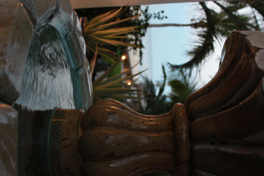 Casa Costa Azul Ξενοδοχείο San José del Cabo Εξωτερικό φωτογραφία