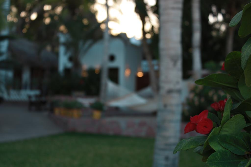 Casa Costa Azul Ξενοδοχείο San José del Cabo Εξωτερικό φωτογραφία